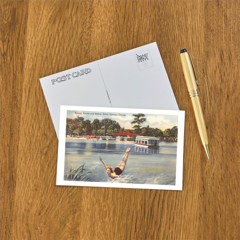 Postcard FL-428