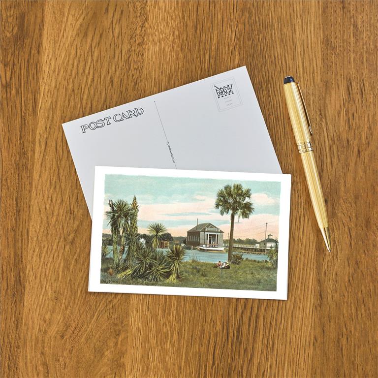 Postcard FL-202