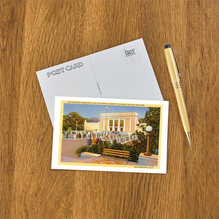 Postcard SF-258