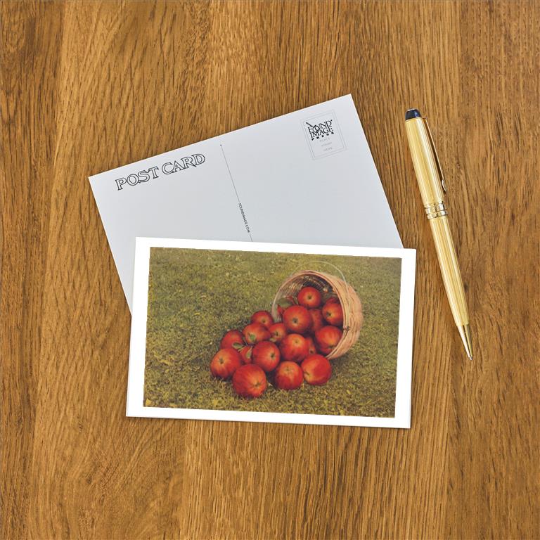 Postcard FR-301