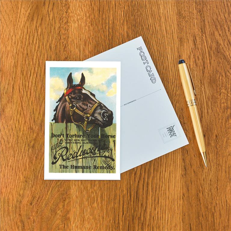 Postcard EQ-452