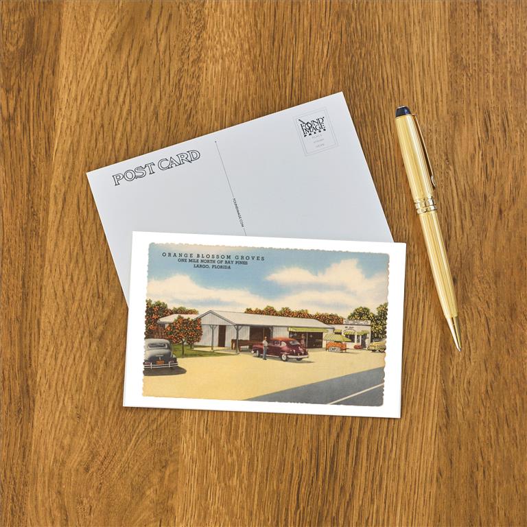 Postcard FL-1084