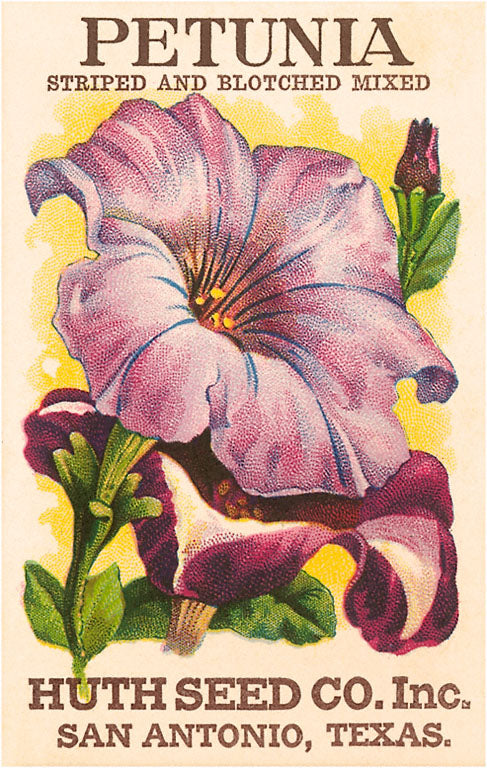 63 Old Vintage Flower Seed Packets Lone Star Seed Co. San Antonio,texas  Moon,nasturtium,snapdragon,ageratum,jack Bean,flower Garden Mixture 